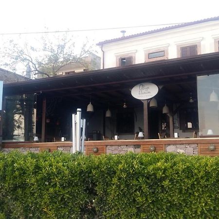 Aliye Hanim Hotel Ayvalı Zewnętrze zdjęcie